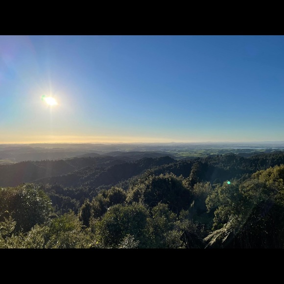 Meet your Posher, Skye - Picture 1 of 1